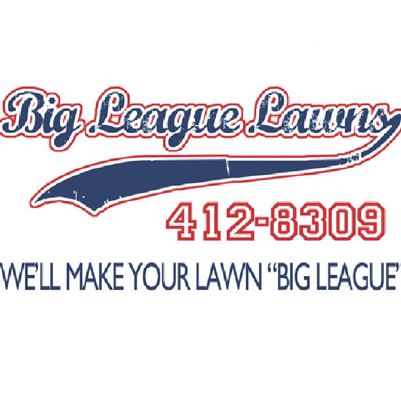 Big League Lawns