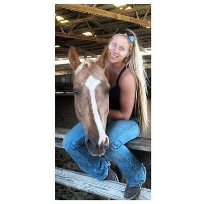 riding near horseback lessons equestrian