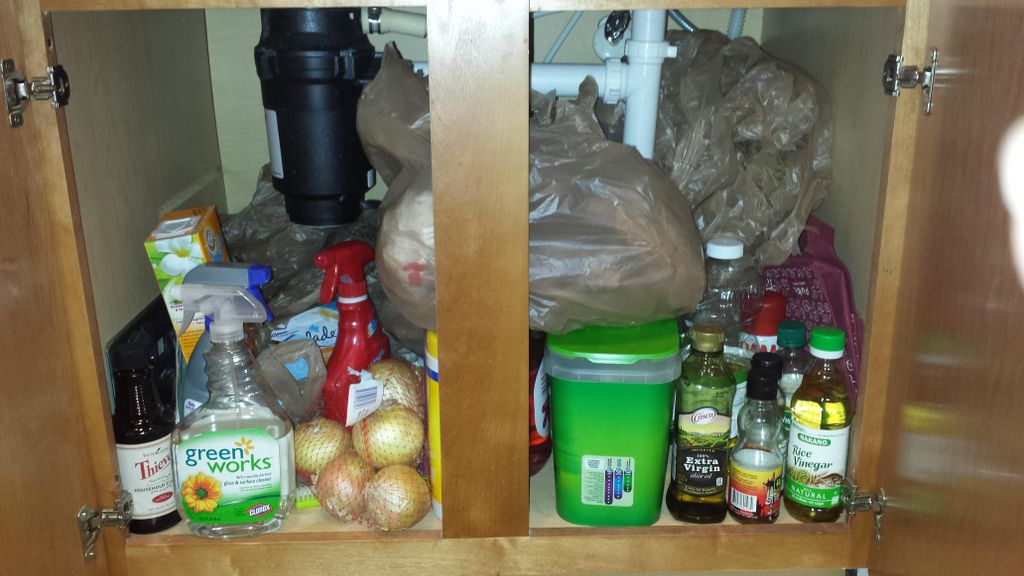 Under the kitchen sink can be a place for a lot of
