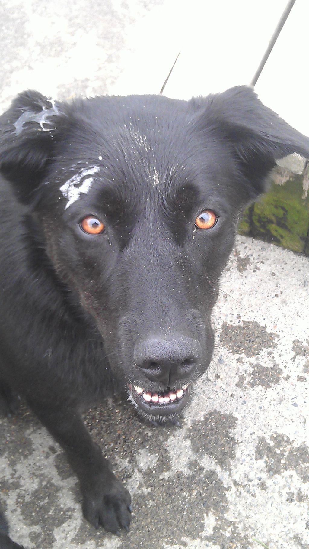 Culley is such a romantic.