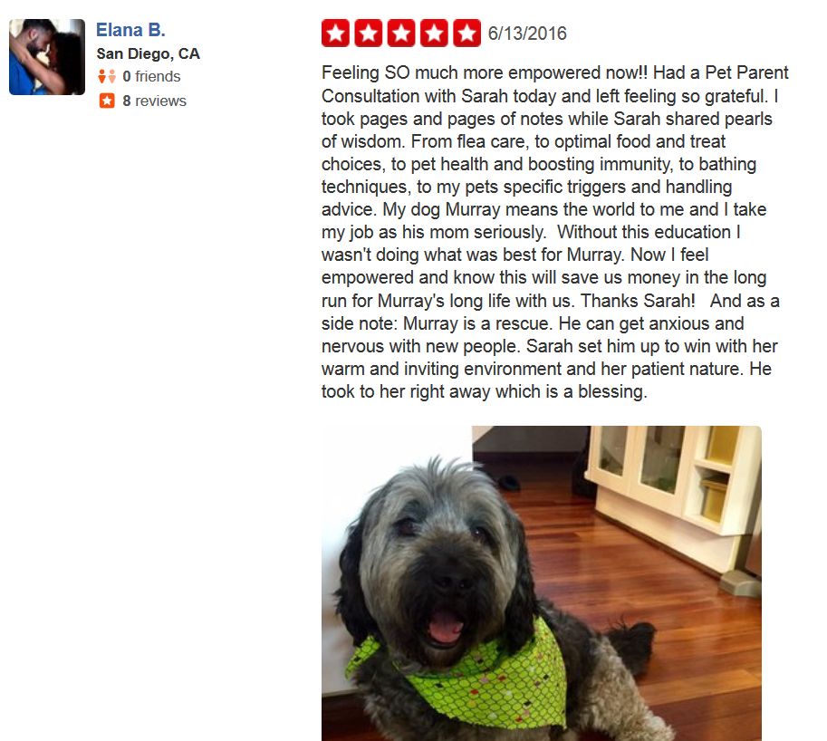 The Glitter Groomer, Sarah Lester, Review... VIEW 