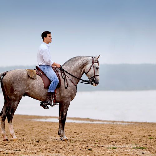 Top Portugal ride on a Lusitano horse