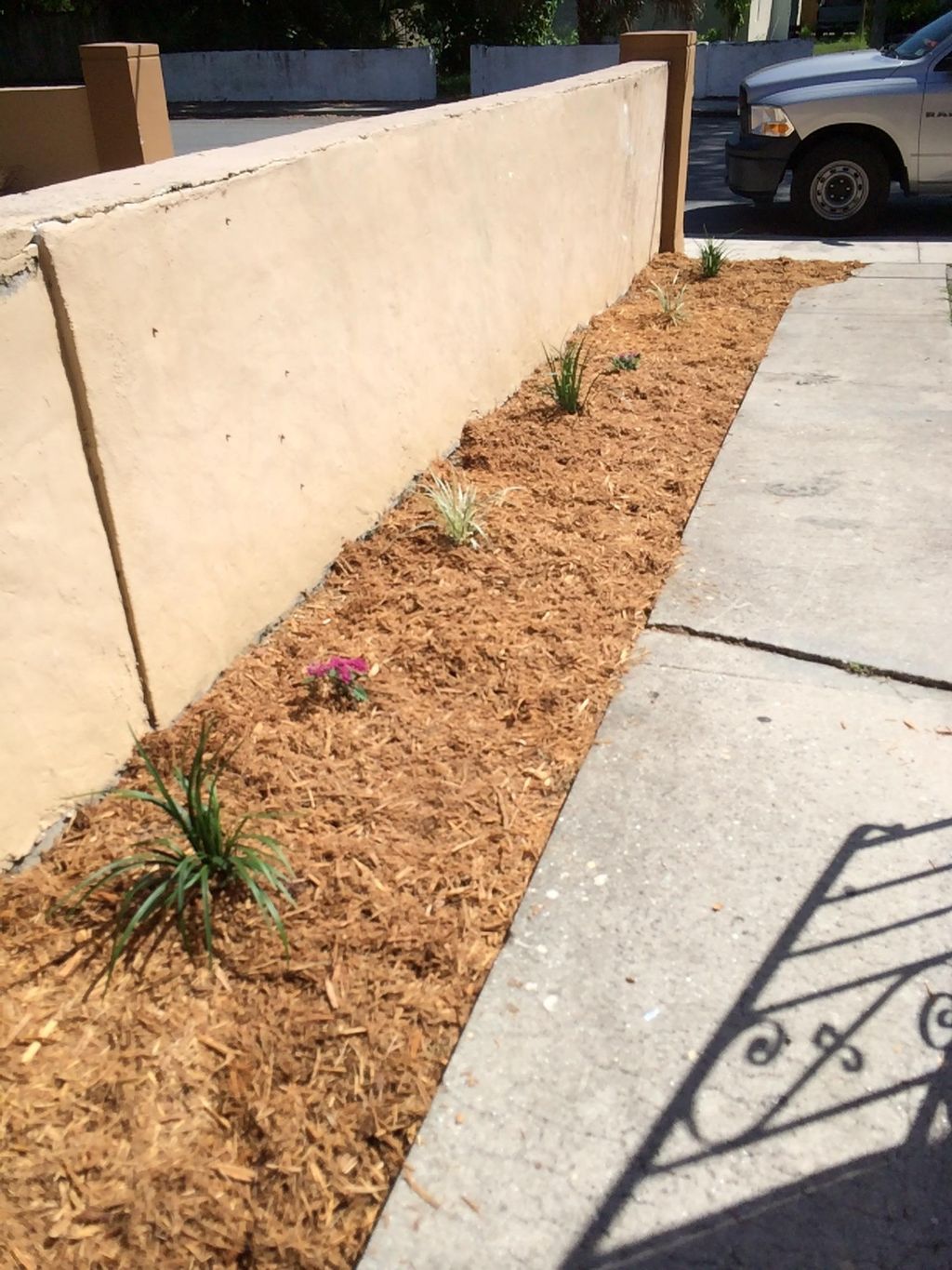 After: Planted flowers and applied mulch