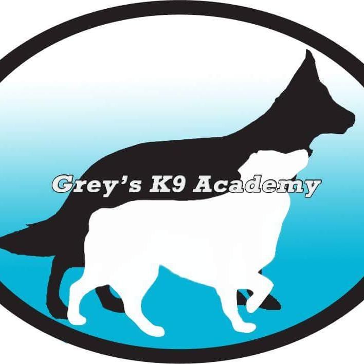 Grey's K9 Academy