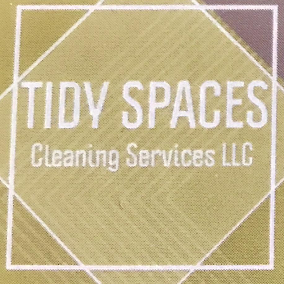 Tidy Spaces Cleaning Services
