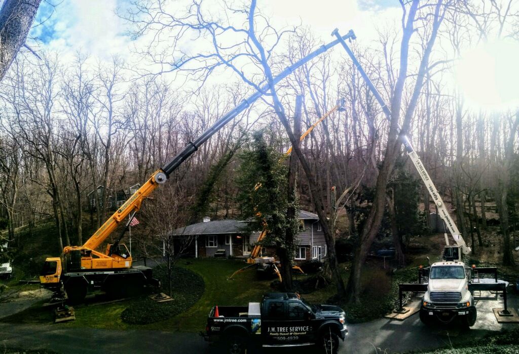 Tree work using 2 cranes and our lift