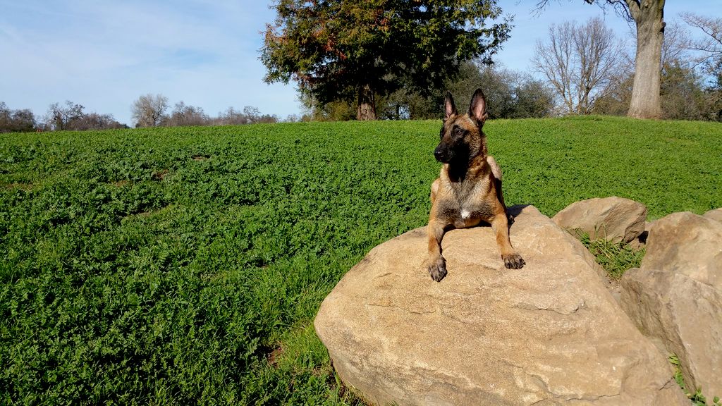 Feo at Hagan Park
