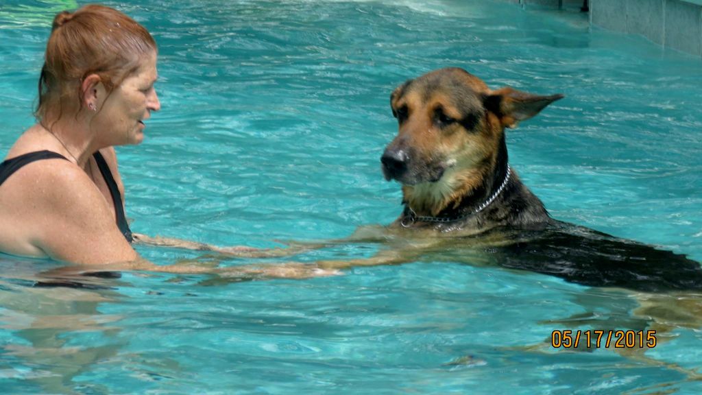 Dog rehab/therapy, lessons