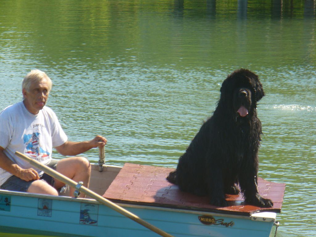 Is your dog your best friend? 
This dog will save 