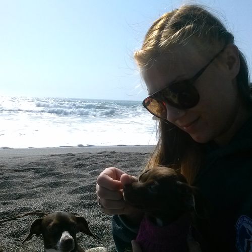 I took my dogs to Dillon Beach, CA.  They loved to