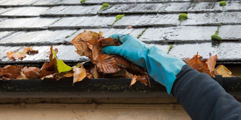 Gutter Cleaning