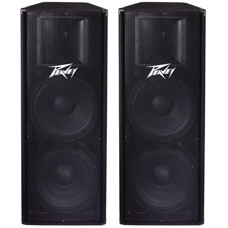 These are our full range dual 15" speakers.