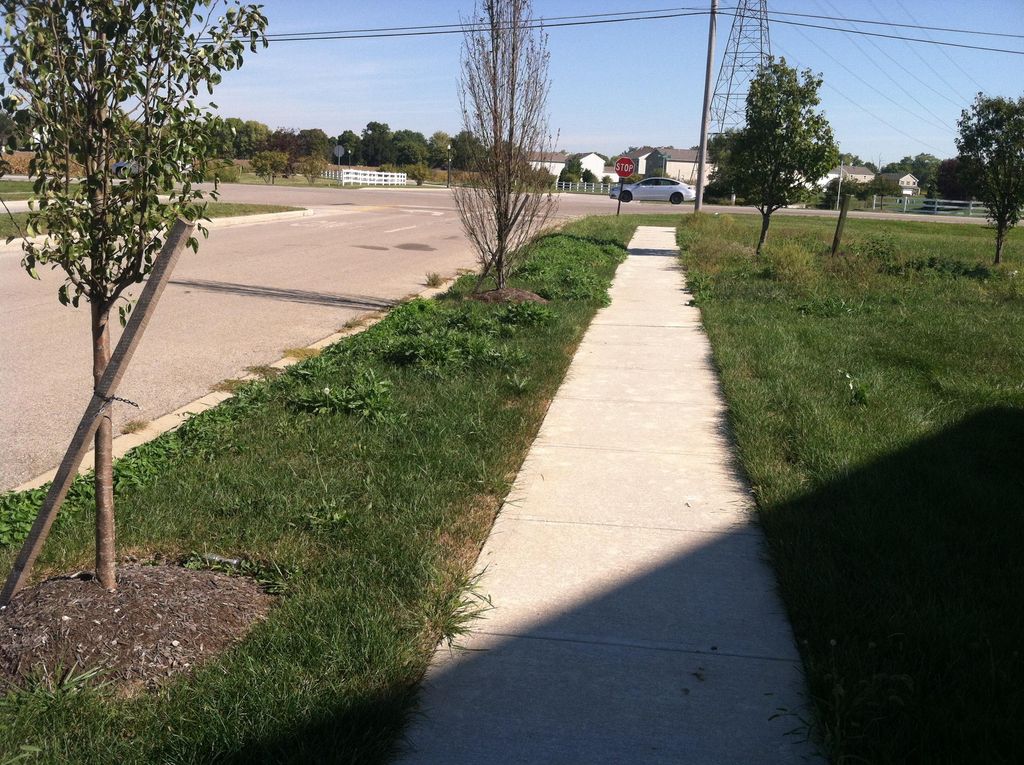 9/22 before we mowed and edged.
Groveport, Oh.