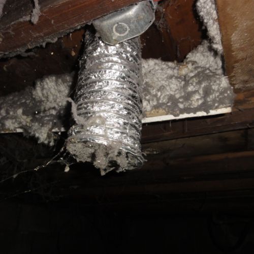 Dryer vents into crawl space