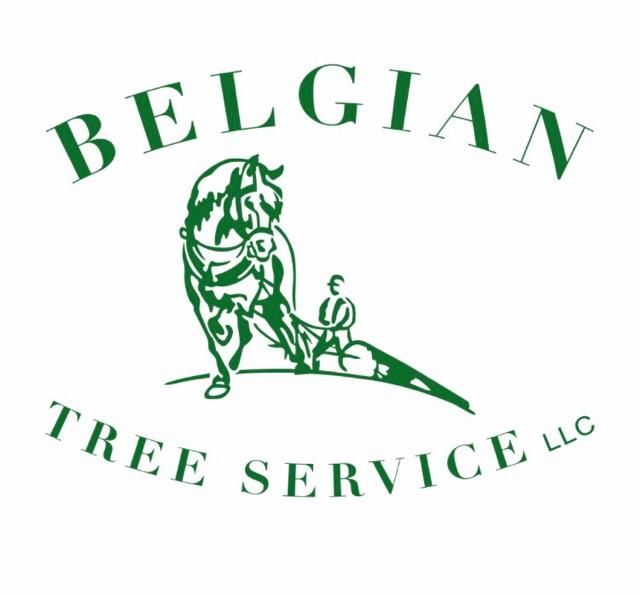 Belgian tree service