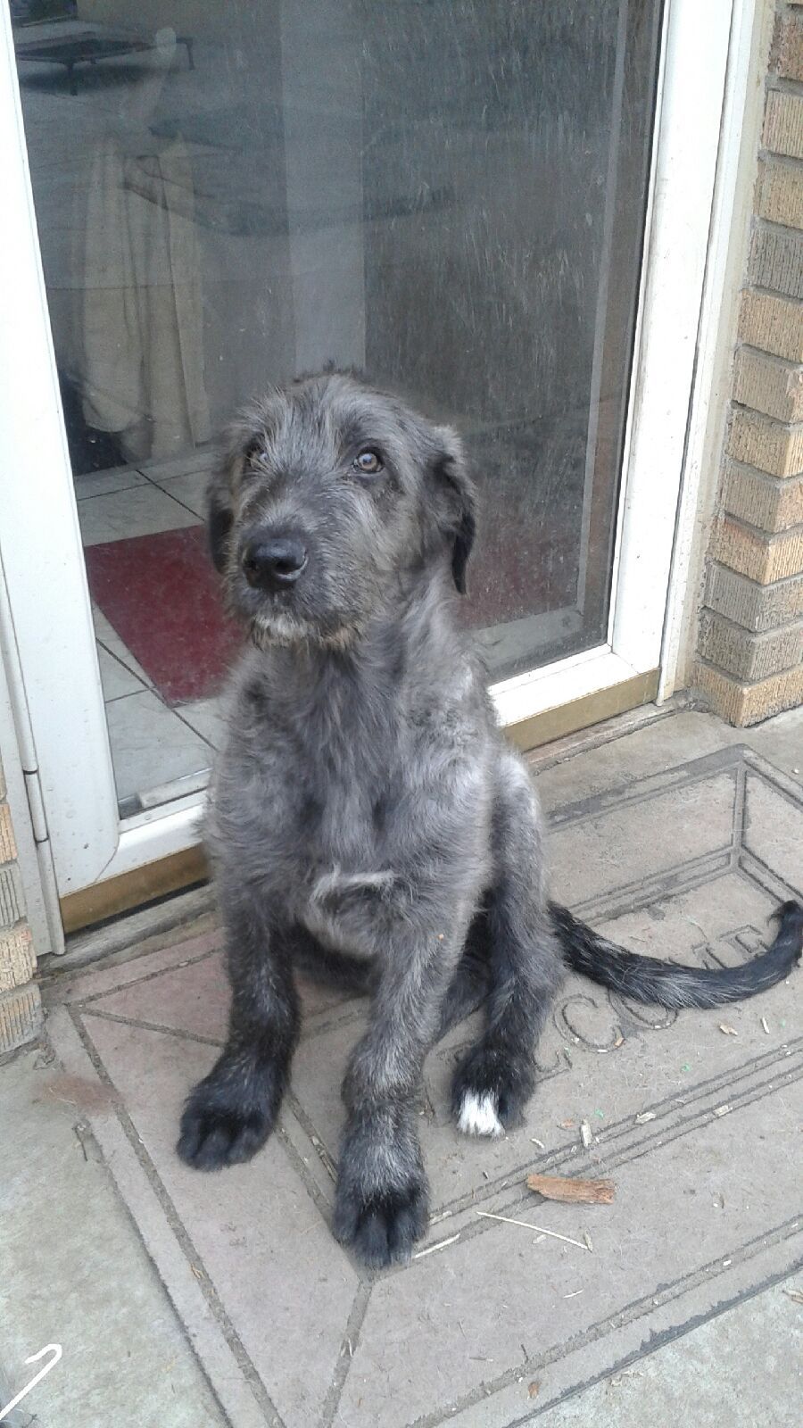 Waiting for my first training... and a treat!