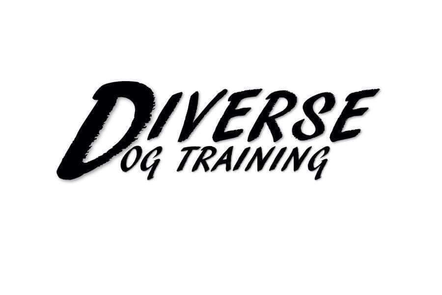 Diverse Dog Training