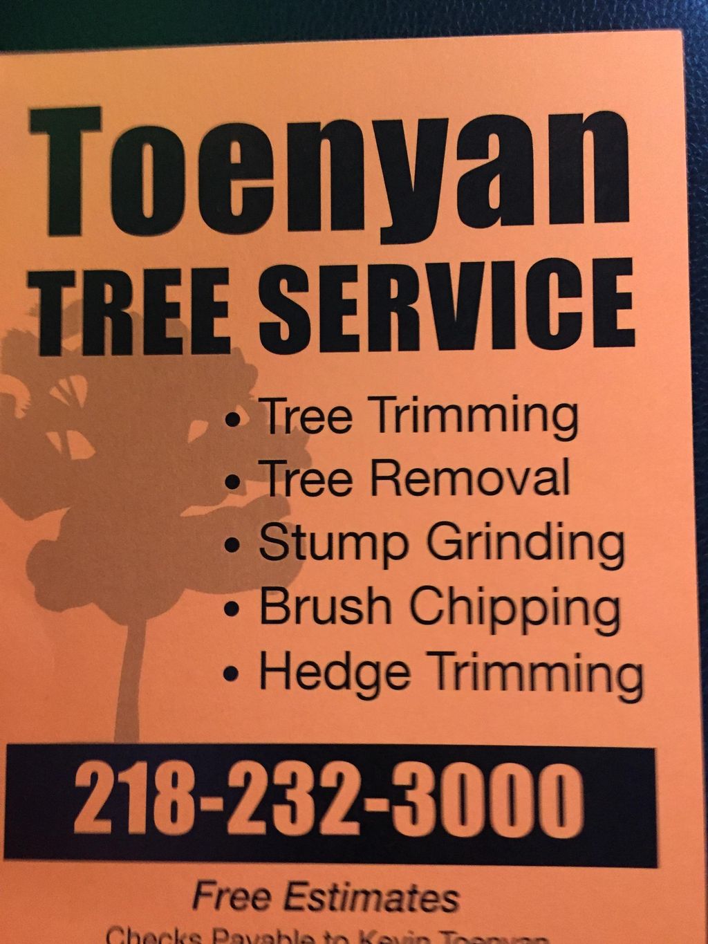 Toenyan Tree Service