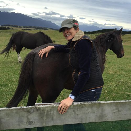 Another horse buddy in New Zealand