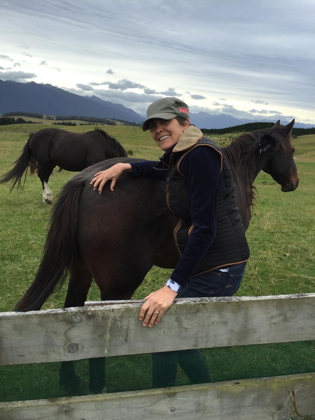 Another horse buddy in New Zealand