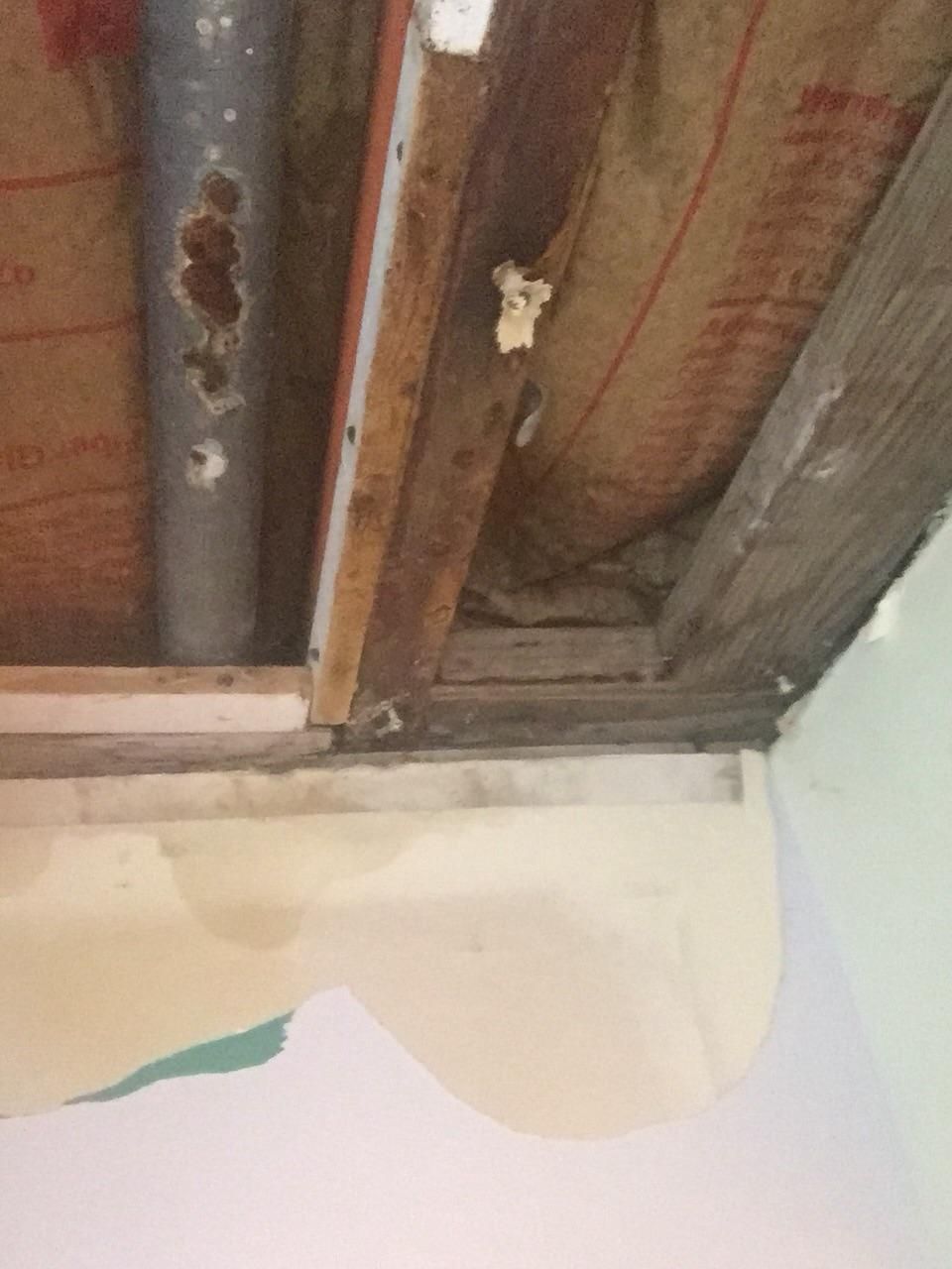 Rotted Kitchen Drain in Ceiling 