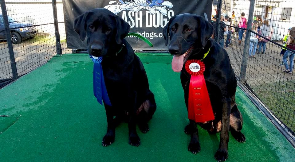 Tunie (L) - 1st Place + Primus (R) - 2nd Place. Sp
