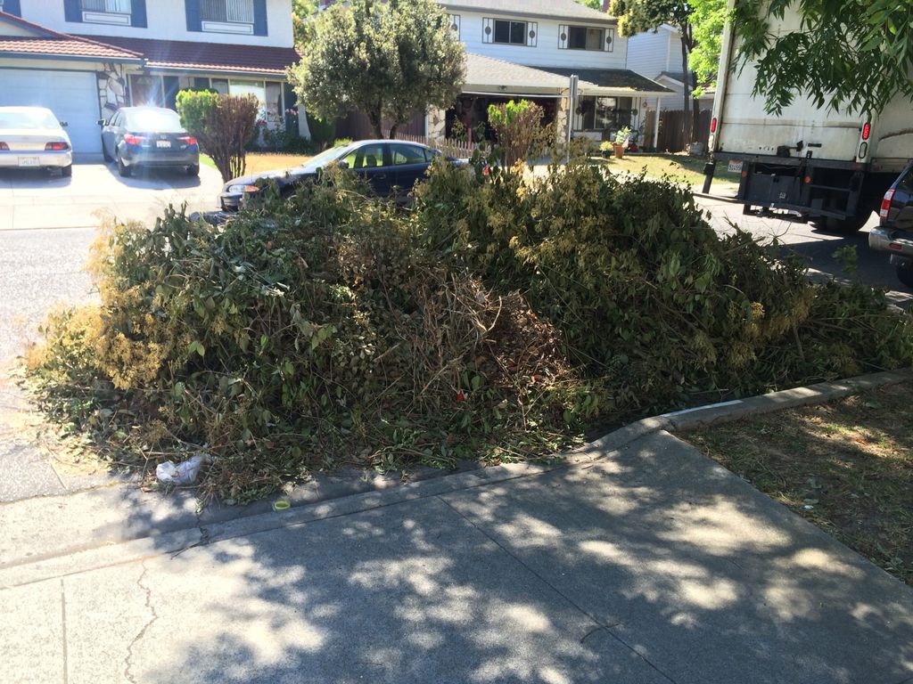 Yard cleanups. 
Yard trimming.
After trimming clea