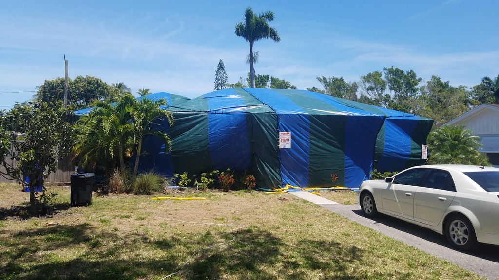 Drywood termites didnt stand a chance. Fumigation 