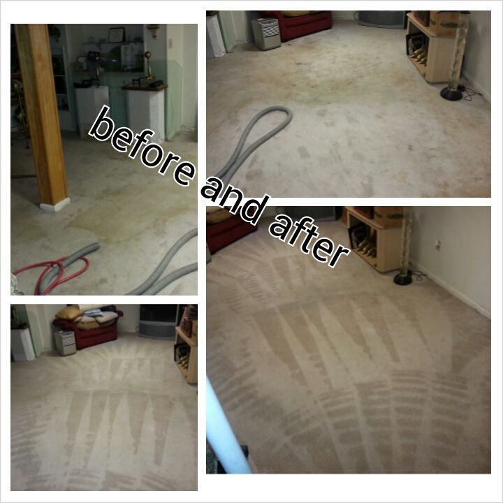 carpet boss restoration