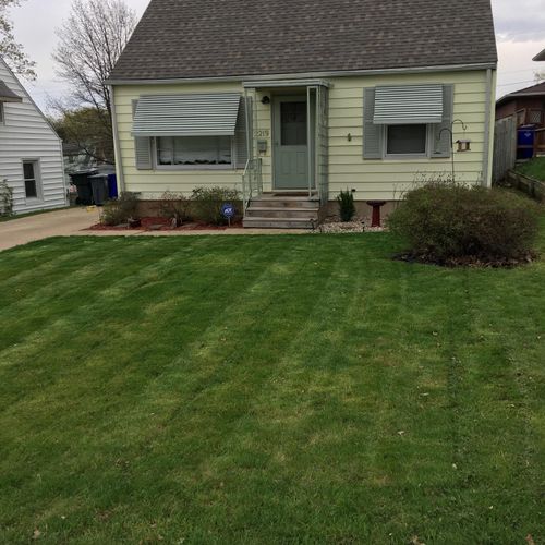 Client requested a One time mow with clippings rak