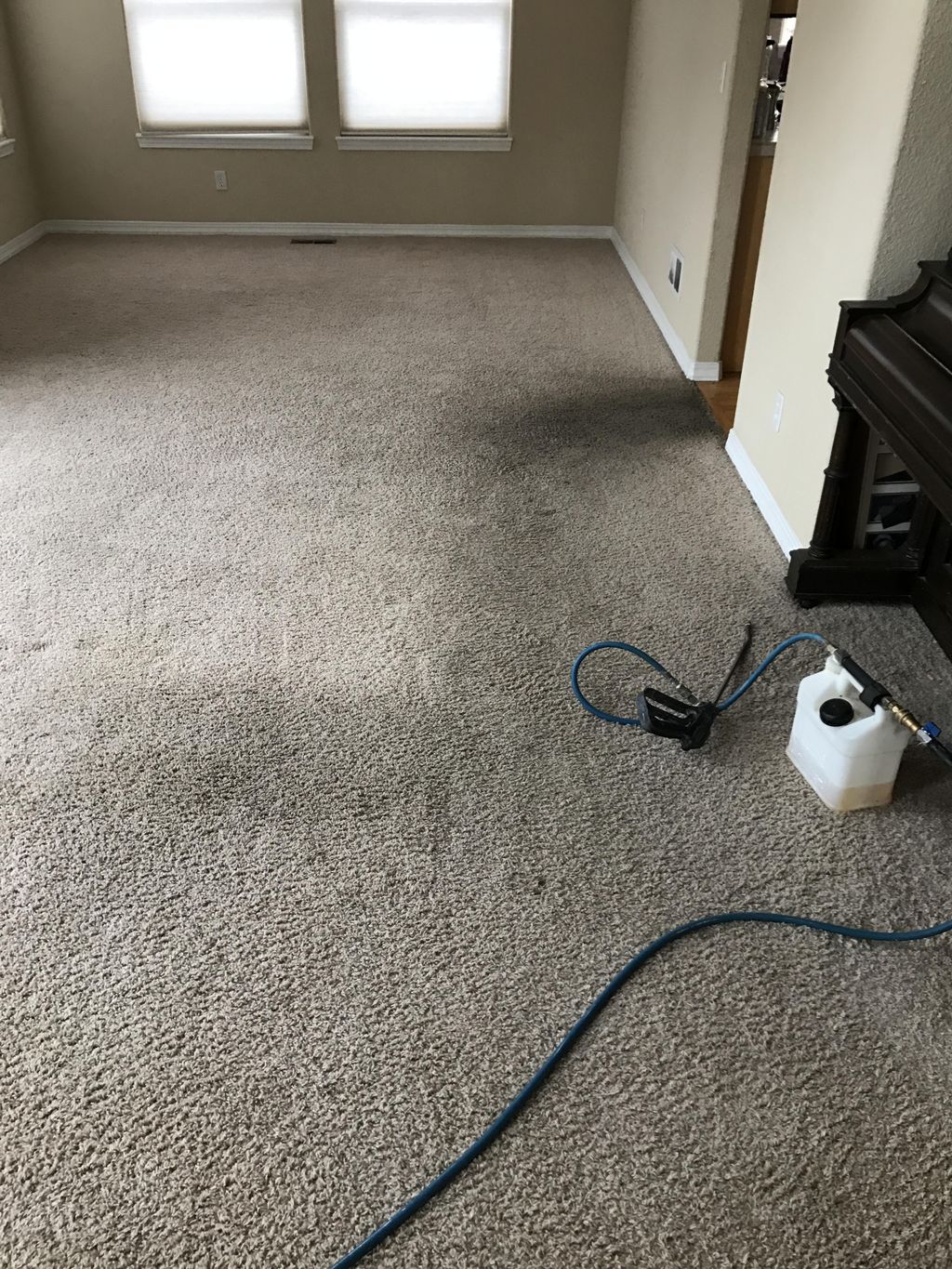Heavily soiled especially by kitchen entry, before
