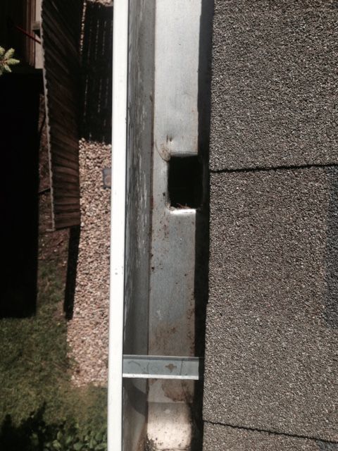 Clean downspout entrance.