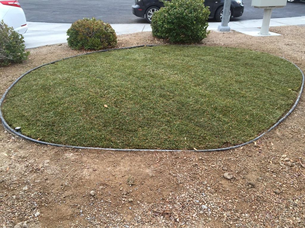 pretty young thing (after)