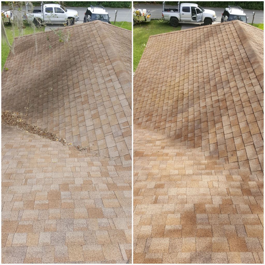 Roof Cleaning 