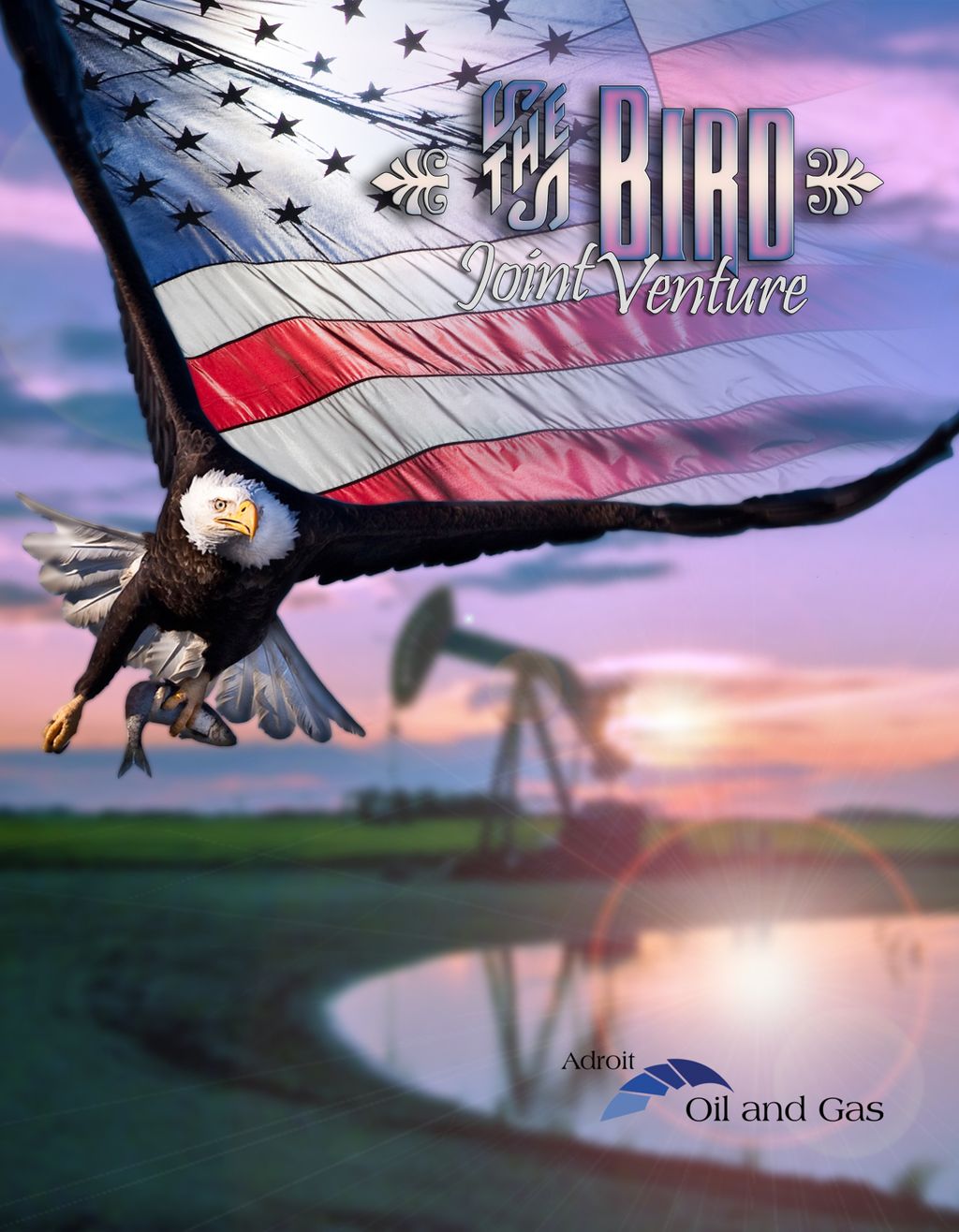 Project Book cover design- Private investment grou