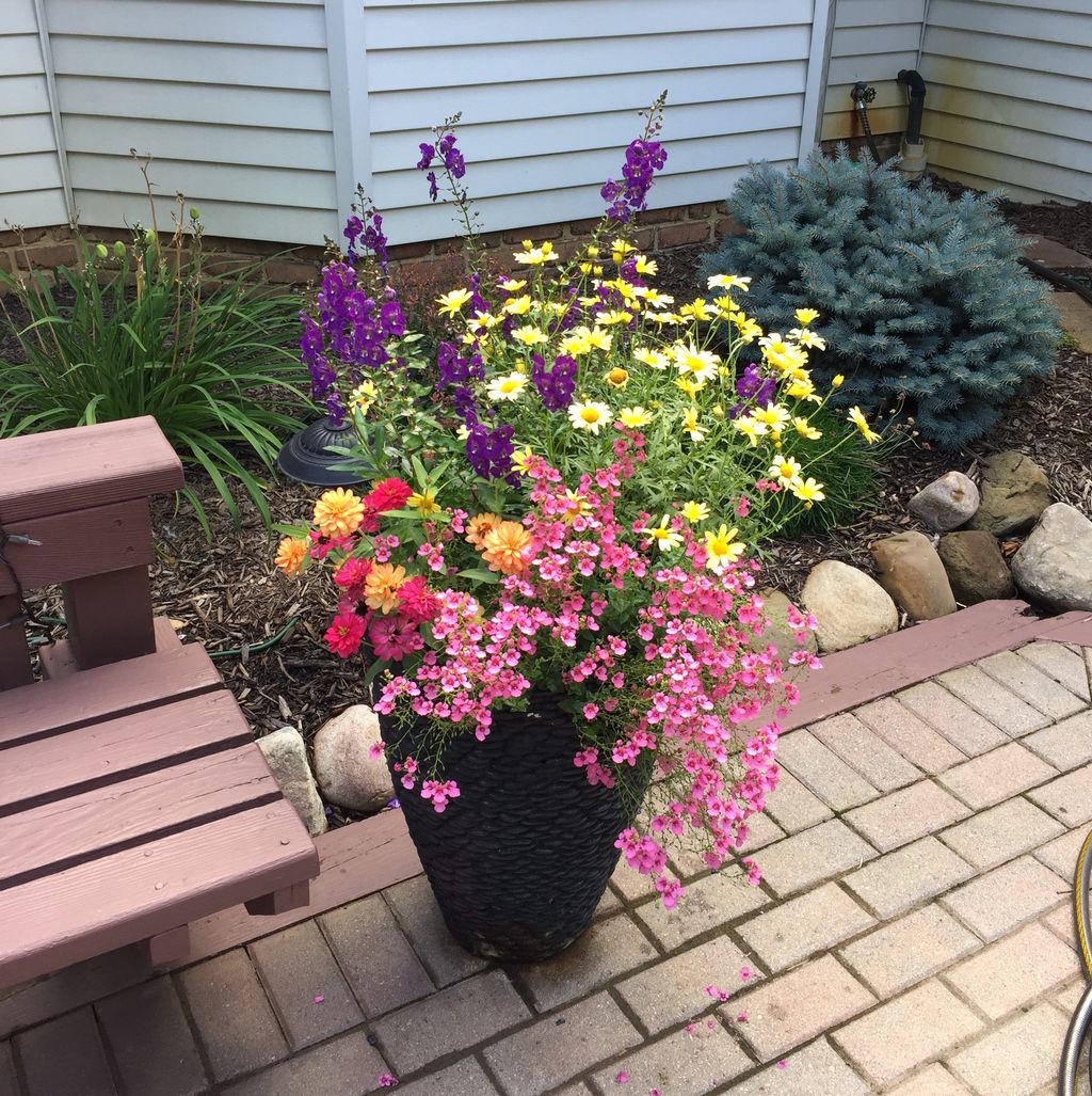 MIPG designed and installed annuals