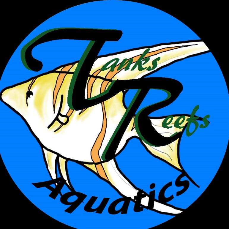 T&R Aquatics Inc.