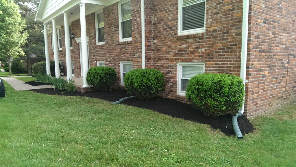 mulch; black, brown, cedar, pine fines, shredded p