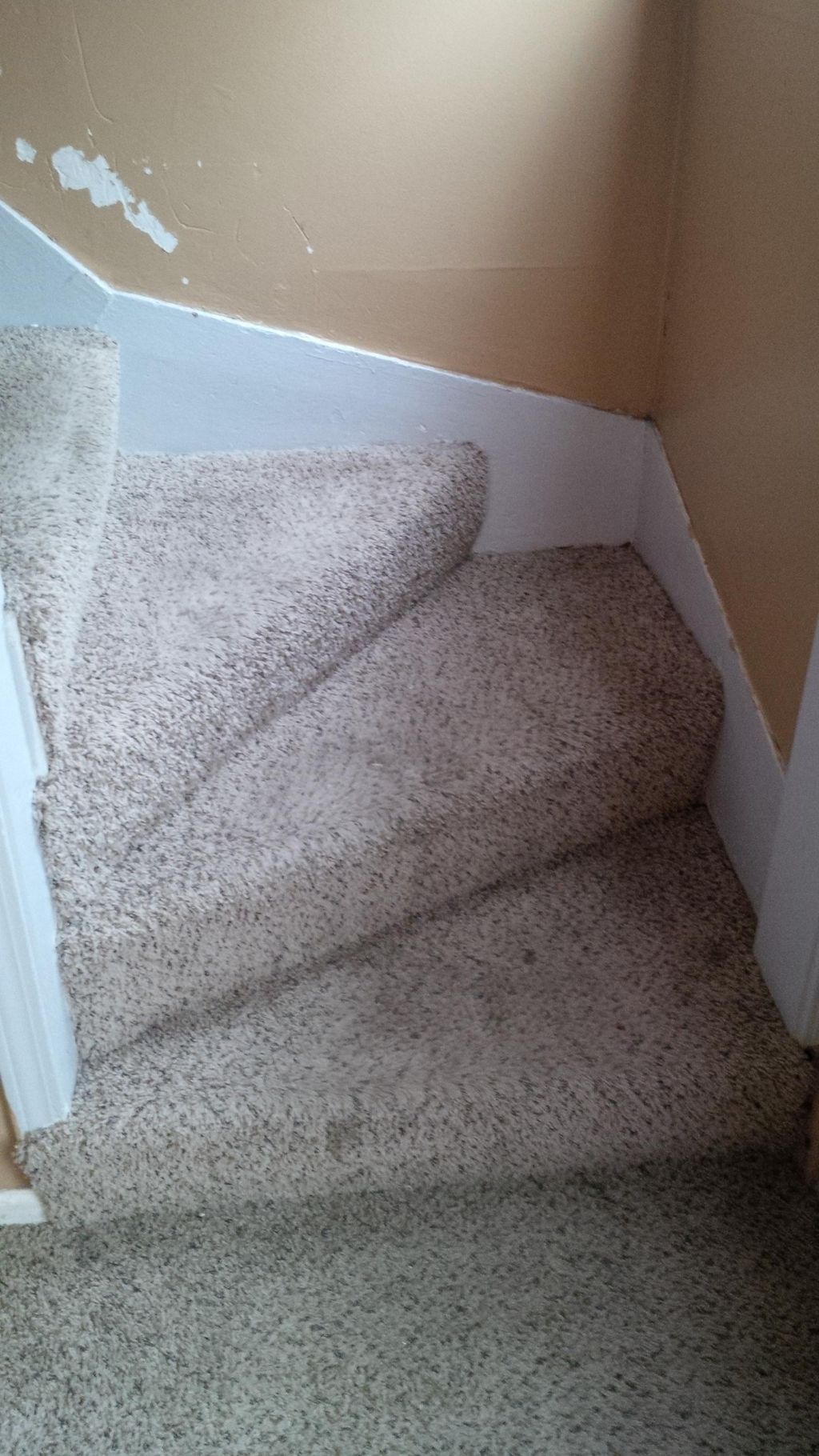 Before Carpet Cleaning