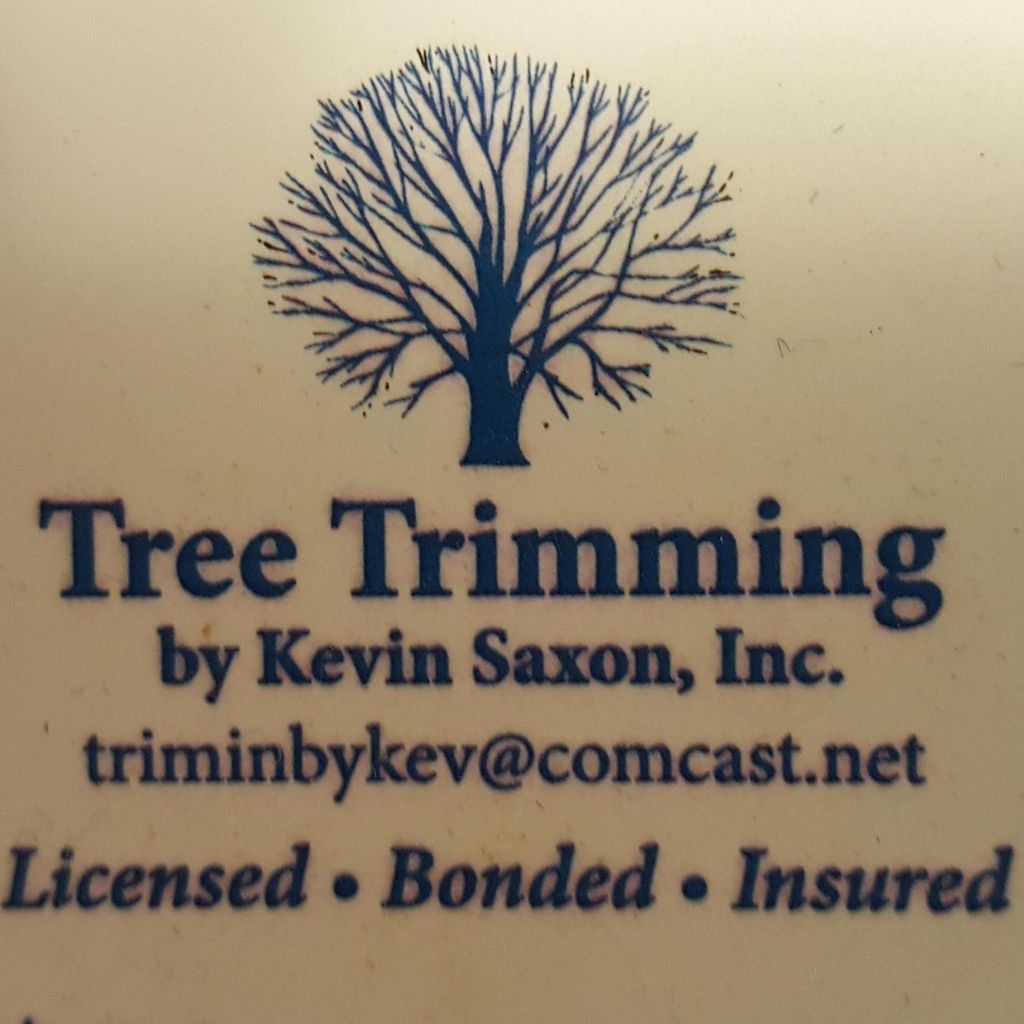 Tree Trimming By Kevin Saxton Inc.