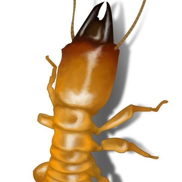 Bug Wiser Termite