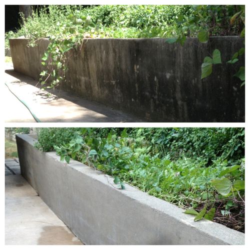 Concrete Cleaning (before & after)