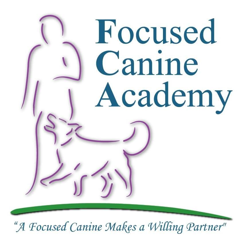 Focused Canine Academy