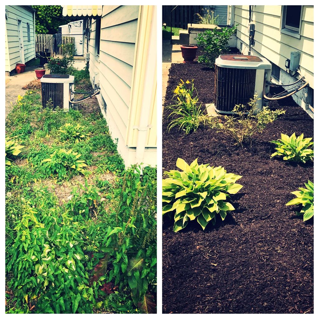 CLEAN UP & MULCHING JOB