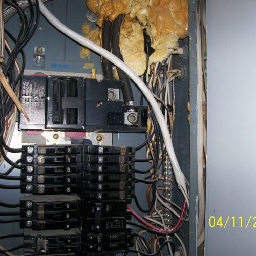 Foam in Electrical Panel