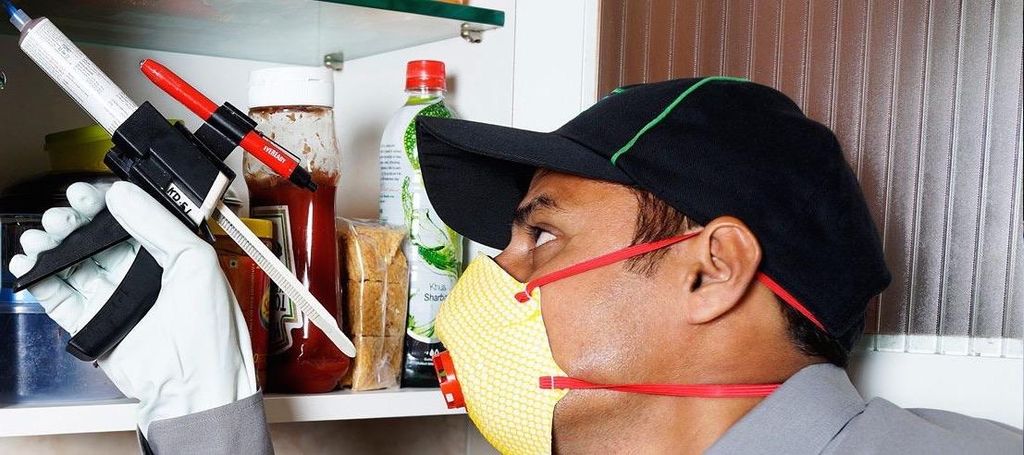 Our speciality is getting rid of infestations and 