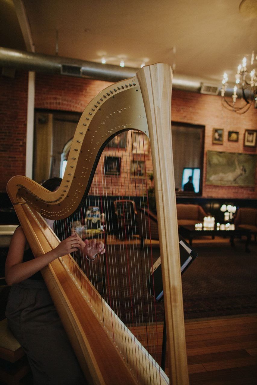The Traveling Harpist