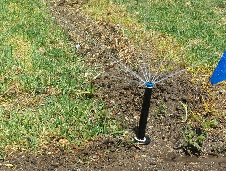 New Sprinkler System