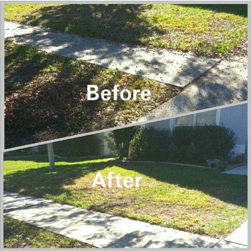Yard waste removal
Before & After