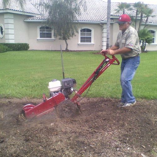 Grinding a stump before installation in Cheval